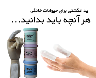 🐾 پد انگشتی برای حیوانات خانگی؛ مراقبت آسان از چشم، گوش و دندان در خانه
